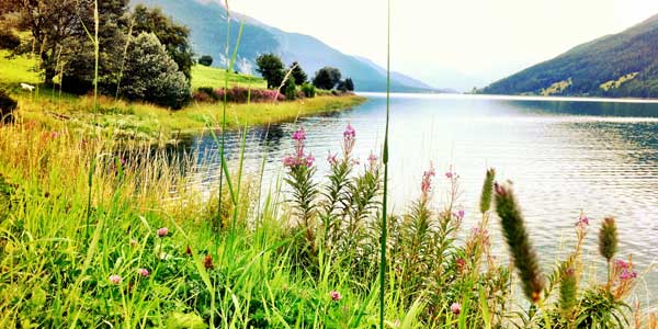 Reschensee in Südtirol auf 1.500m ü.d.M., Webcams und aktuelle Messwerte